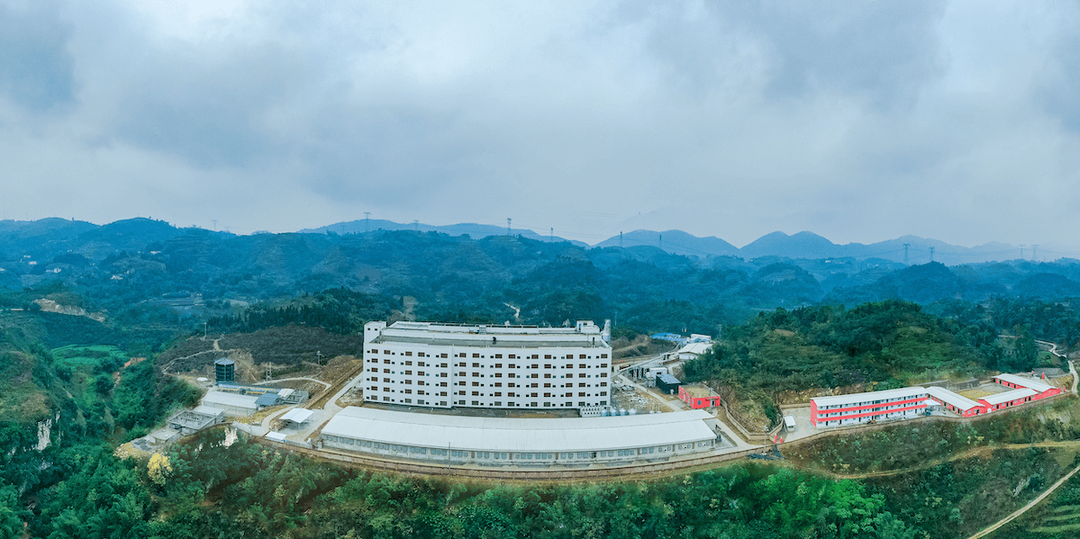 高县B体育庆岭猪场
